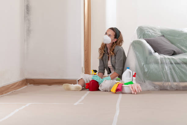 Reliable Black Mold Removal contractor in Dallas, TX by WQB Mold Removal